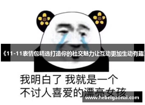 《11-11表情包精选打造你的社交魅力让互动更加生动有趣》