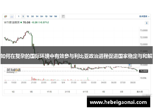 如何在复杂的国际环境中有效参与利比亚政治进程促进国家稳定与和解
