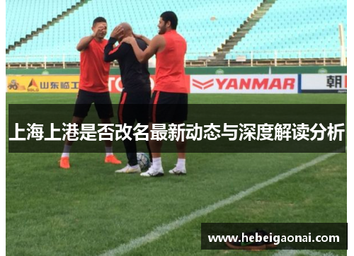 上海上港是否改名最新动态与深度解读分析 上海上港是否改名最新动态与深度解读分析