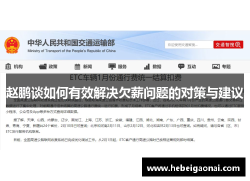 赵鹏谈如何有效解决欠薪问题的对策与建议